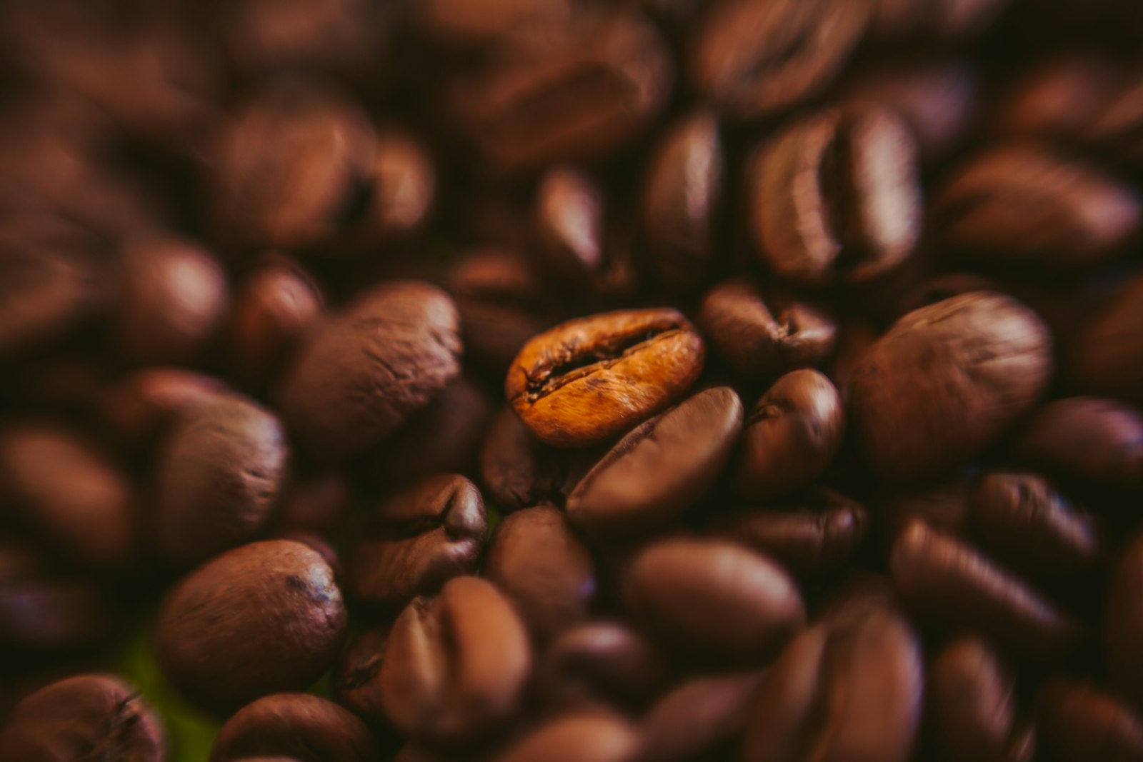 Roasted coffee beans in close view
